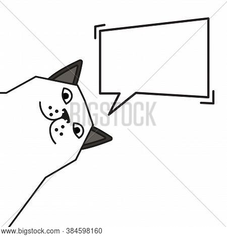 Cat Meme With Speech Bubble Islated On White