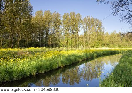 Canal In The Nature Reserve Alblasserbos Close To The Dutch Villages Wijngaarden En Papendrecht