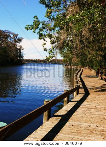 Passerella sul lago Tarpon