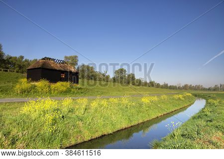 Ditch In A Green Grassy Meadow Near Hank In The Dutch National Park De Biesbosch