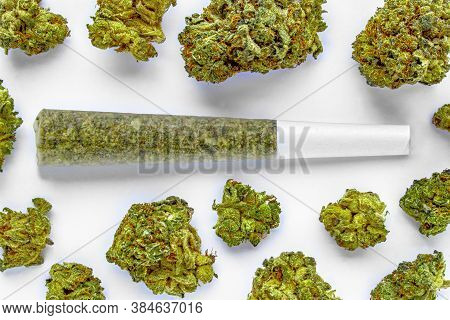 A Pre-roll Cannabis Joint On A White Surface With Several Cannabis Flowers Around.