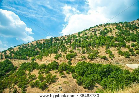 Mountain view - Parque Nacional Olympus