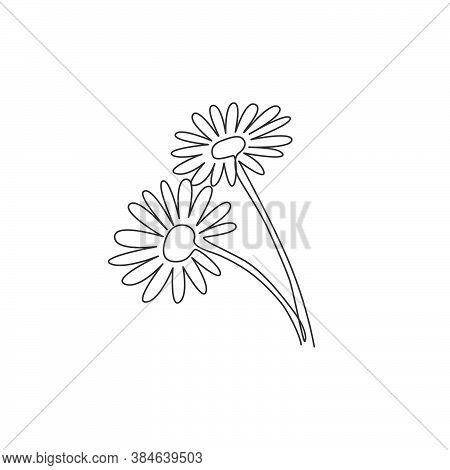 One Single Line Drawing Of Beauty Fresh Bruisewort. Printable Poster Decorative English Daisy Flower