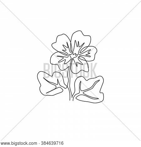 One Continuous Line Drawing Beauty Fresh Purple Mallow For Wall Home Decor Poster Art. Decorative Co