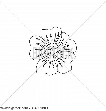 Single One Line Drawing Beauty Fresh Purple Mallow For Garden Logo. Printable Decorative Malva Sylve