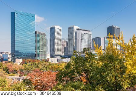 Beautiful cityscape of Osaka in autumn, group of skyscrapers  with colorful woods foregroud and blue sky background, Osaka,Japan