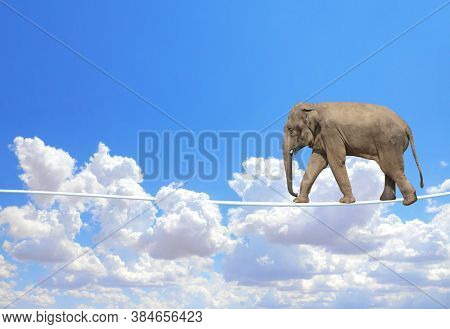 Managing risk concept. Elephant walking on a rope on the blue sky background. Cute elephant on tightrope above the clouds