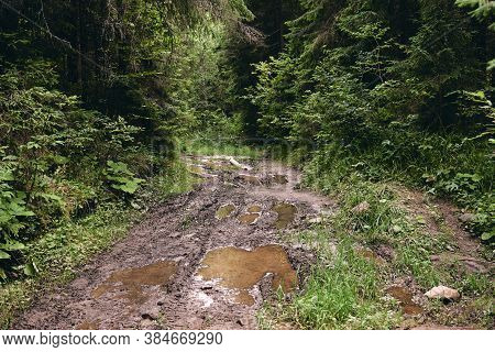 Ofroad For Hard Man. Car Racing On Dirt Road After Rain. Wheel, Bonnet, Mirror And Door Covered With