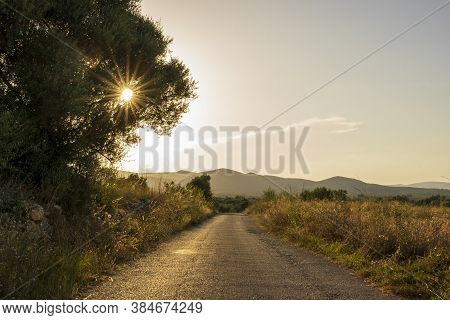 Tranquil Scene At Sunset In San Mateu