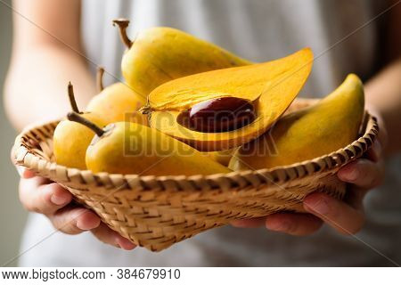 Eggfruit Or Canistel In A Basket Holding By Hand, Thai Fruit, In Thai Names Such As Xiantao, Lamut K