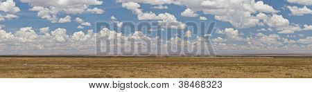 Serengeti Panorama