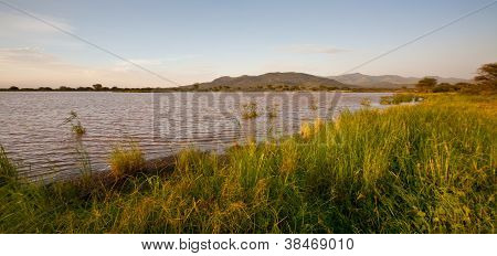 Afrikaanse Marsh