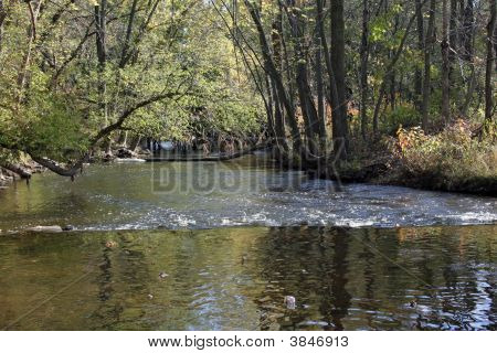 fallen am Fluss