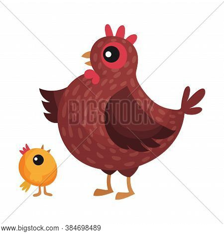 Hen With Yellow Chick Walking In The Yard Vector Illustration