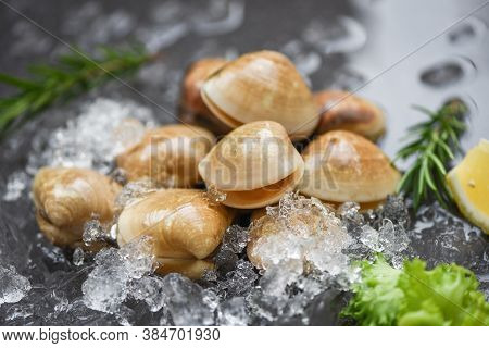 Fresh Shell Clam With Herb Ingredients For Salad / Seafood Shellfish On Ice Frozen At The Restaurant