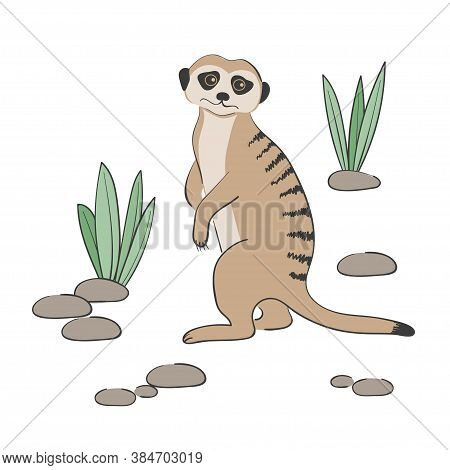 Meerkat Isolated Images, Illustrations &amp; Vectors (Free) - Bigstock
