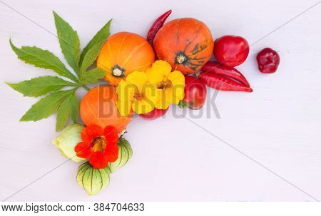 Autumn Floral And Vegetables Still Life Composition. Pumpkins, Chilli, Tomatillo, Flower Tropaeolum 