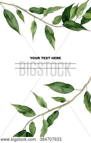Green Ficus Branches Frame. Watercolour Plant Design For A Greeting, Wedding Invitation, Postcard, C
