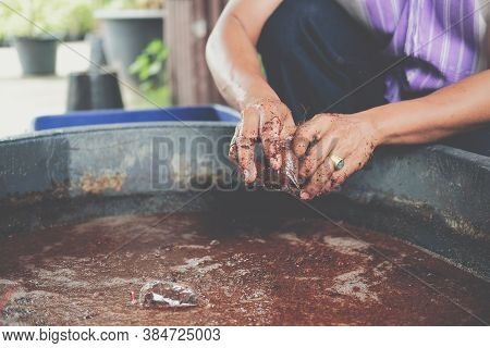 Hand Putting Coconut Coir In Plastic Bag For Grafting Plant Tree