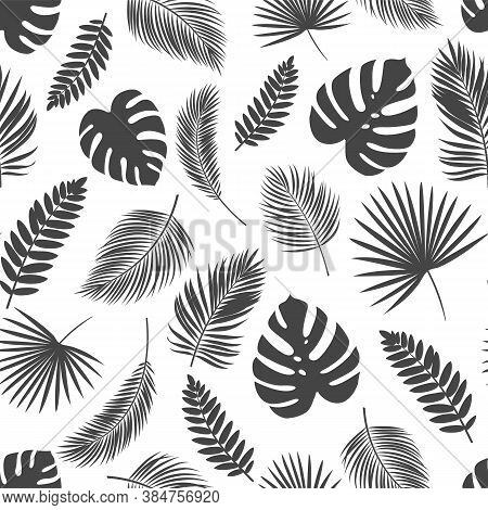 Seamless Pattern Silhouettes Tropical Leaves. Monochrome Wallpaper Jungle Exotic Leaf Philodendron, 