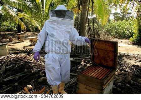 Eunapolis, Bahia / Brazil - May 11, 2009: Beekeeper Is Seen Next To The Bee Hive In The City Of Euna