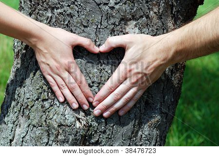 Coeur des mains