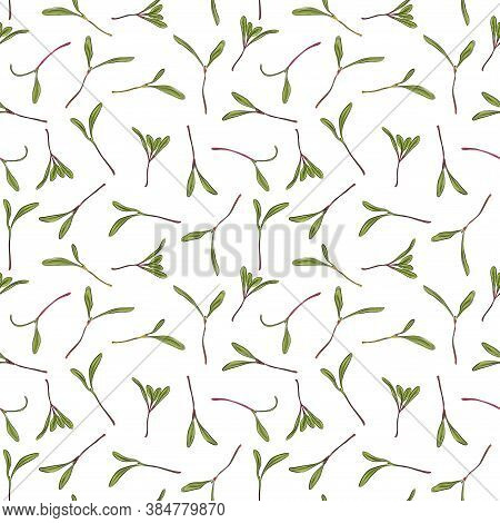 Seamless Pattern. Hand Drawn Rainbow Chard Micro Greens. Chard. Vector Illustration In Sketch Style 