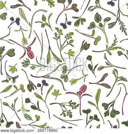 Seamless Pattern. Hand Drawn Rainbow Chard Micro Greens. Chard, Radish, Beet, Carrot, Cabbage. Vecto