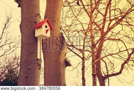 Wooden Bird House, Nesting Box On The Tree. Toned.