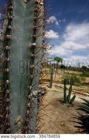 Vitoria Da Conquist, Bahia / Brazil - October 28, 2011: View Of The Semiarid Region In The Municipal