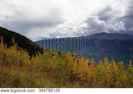 Colorful Meadow Fields On Top Of Nares Mountain During Fall Season. Located In Carcross, Near Whiteh