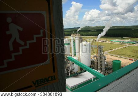 Eunapolis, Bahia / Brazil - January 27, 2011: Veracel Celulose Factory In The City Of Eunapolis, In 