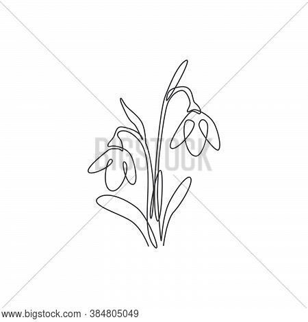 One Single Line Drawing Of Beauty Fresh Galanthus For Home Decor Wall Art Poster Print. Decorative S