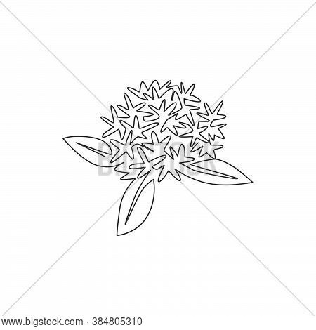 One Continuous Line Drawing Beauty Fresh Flowering Plant For Garden Logo. Printable Decorative Ixora
