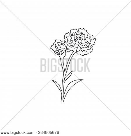 Single Continuous Line Drawing Of Beauty Fresh Carnation For Garden Logo. Decorative Dianthus Caryop
