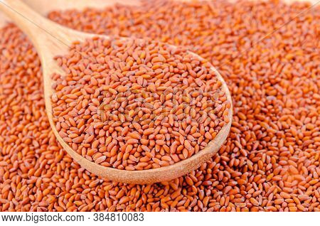 Seeds Of Lepidium Sativum On Wooden Spoon.