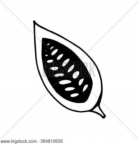 Cocoa Bean Half Hand Drawn Vector Doodle. Single Element For Design Icon, Label, Menu, Sticker. Food