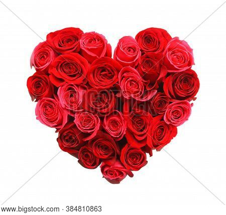 Rose Flower Background. Colorful Roses Flower Pattern. Roses Flower Bouquet. Garden Rose. Red Rose.