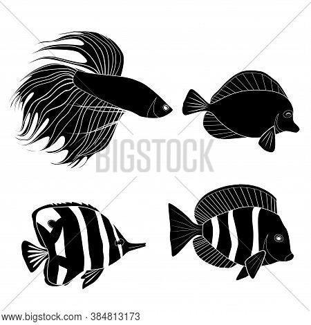 Set Of Black Silhouette Different Tropical Fish. Fish Rooster, Pennant Fish, Royal Angel. Marine Inh