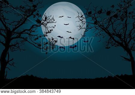 Moonlight Forest Background With Silhouettes Of Bats. Halloween Party Scary Banner With Copy Space. 