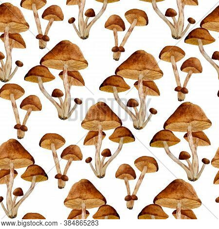 Watercolor Hand Drawn Seamless Pattern Poisonous Dangerous Mushroom Illustration Of Webcap Fungi. Br