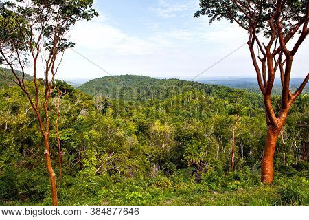 View Of Las Terrazas In Pinar Del Rio Province, Cuba