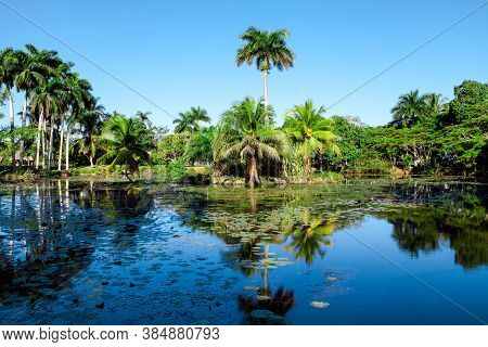 Tropical Lake Nearby Crocodile Farm At Playa Larga, Bay Of Pigs, Matanzas, Cuba.
