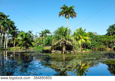 Tropical Lake Nearby Crocodile Farm At Playa Larga, Bay Of Pigs, Matanzas, Cuba.