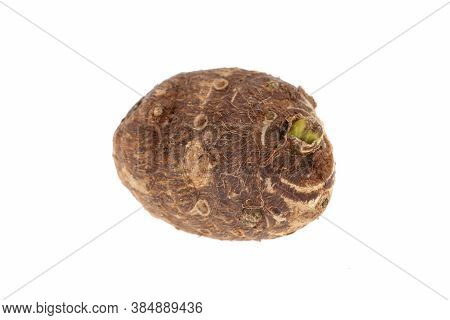 Group Of Sweet Taro Root Isolated On White Background Arbi Or Aravi Roots With One Cut In Cross Sect