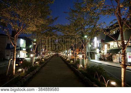 Kamakura / Japan - Sept 09, 2019: Dankazaura Is A Pedestrian Path In The Center Of Wakamiya Oji Stre
