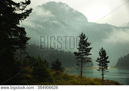 Atmospheric Photo Of Coniferous Trees Against The Background Of A Mountain In The Fog
