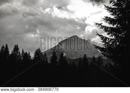 Mountain In The Fog On The Background Of A Coniferous Forest, Black And White Photo