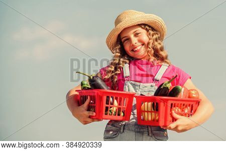 Friendly Look. Harvest Vitamin. Spring Market Garden. Little Girl Vegetable In Basket. Only Natural.