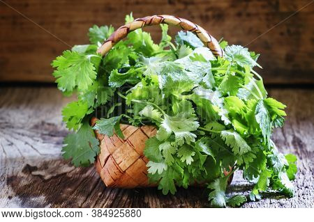 Fresh Cilantro In A Wicker Basket, Vintage Wooden Background, Selective Focus